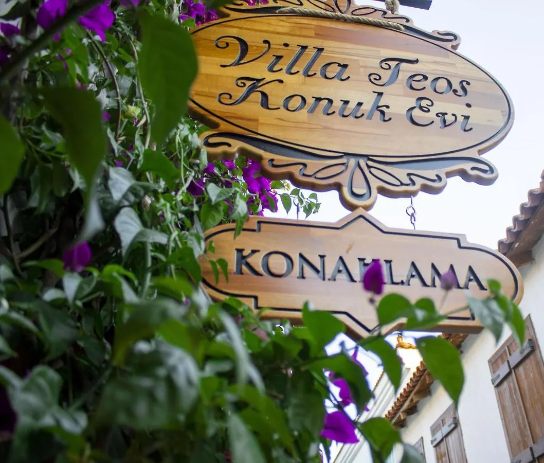 Villa Teos Otel 伊兹密尔 酒店