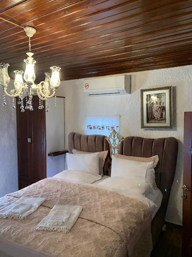 Villa Teos Otel 伊兹密尔 酒店